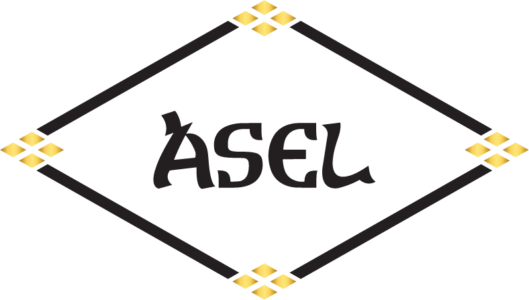 Logo for ASEL, llc