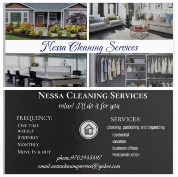 Logo for Nessa cleaning services llc