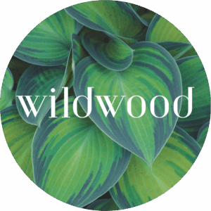Logo for Wildwood