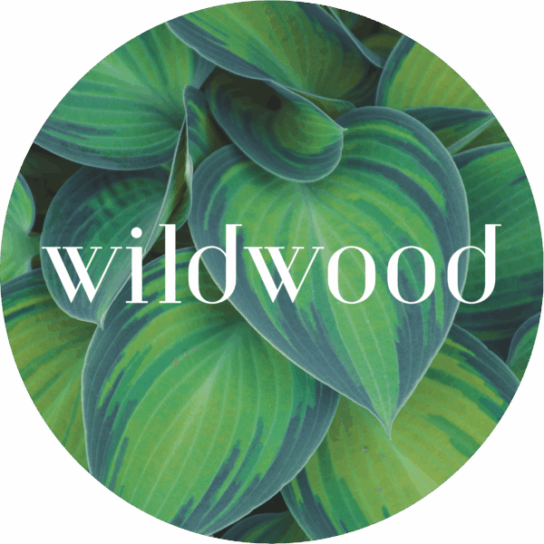 Logo for Wildwood
